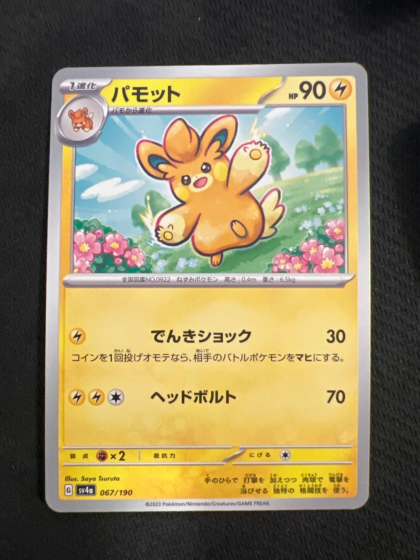 Pawmo 067/190 sv4a (Non-Holo)