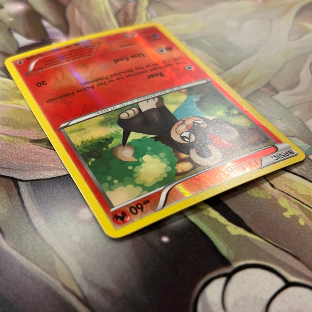 Pokémon: Litleo 11/119 - XY Phantom Forces (Reverse Holo Common)