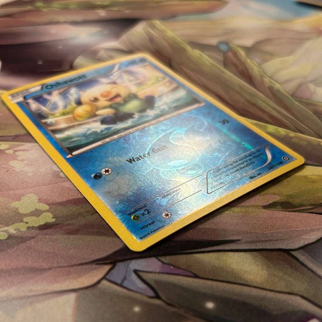 Pokémon: Oshawott 030/114 - XY Steam Siege (Reverse Holo Common)