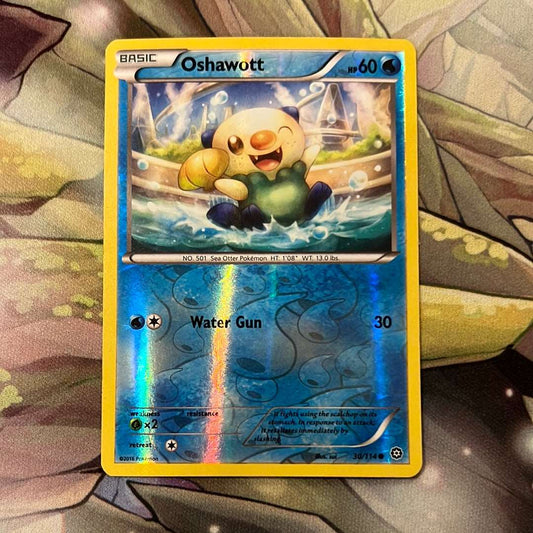 Pokémon: Oshawott 030/114 - XY Steam Siege (Reverse Holo Common)
